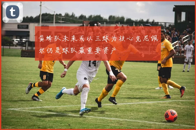 黄蜂队未来或以三球为核心克尼佩尔仍是球队最重要资产