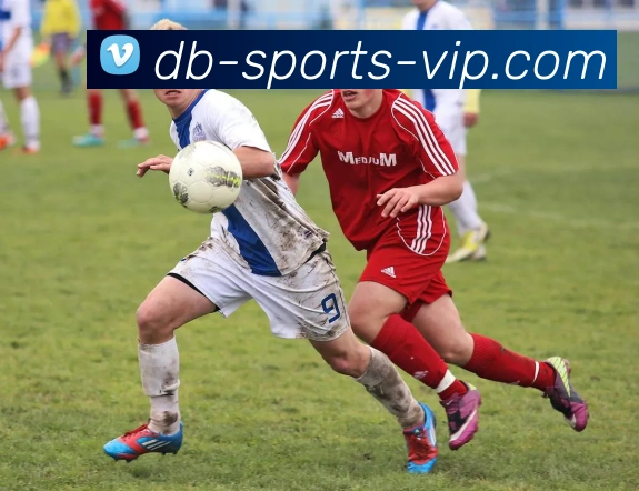 db电子体育官网平台生态图