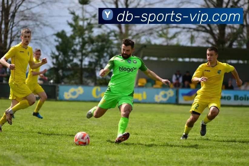 db电子体育官网APP 封面图